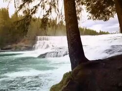 Dawson Falls Wells Gray Provincial park Stock Footage