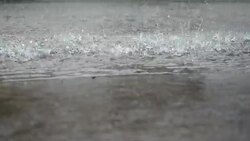 Raindrop Stock Footage