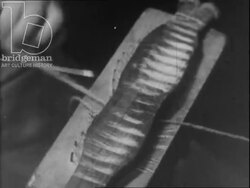 Basque beret and chistera production. Basque Country, c.1930s Stock Footage
