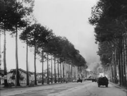 Riots in Saigon Stock Footage