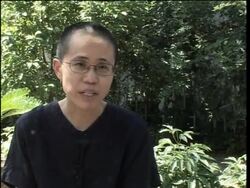 WRAP Dissident arrested for agitating subversion against state; wife, lawyer News Clip