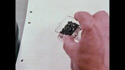 News Item (a8084e7c-ec58-89e7-b3b5-1c0e3ecfab2e) News Clip