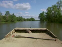 MS POV Airboat speeding on Atchafalaya Basin swamp / Atchafalaya Basin, Louisiana, United States Stock Footage