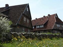 Country Cottage Stock Footage