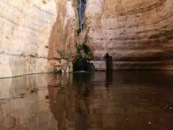 WS View of Desert spring Ein Ovdat, main water source in Negev desert / negev desert, Israel Stock Footage