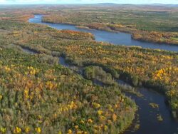 MS AERIAL View of river flowing through wooded area at Howland / Maine, United States Stock Footage