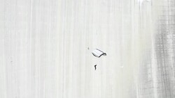 BASE jumper descends from high concrete dam to valley below Stock Footage