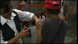 +4:3 Number of swine flu cases in January surpasses whole of 2011 News Clip