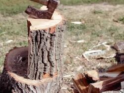 Cutting of firewood Stock Footage