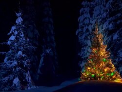 HD LOOP: Ornamented Christmas Tree Stock Footage