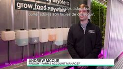 Cultivo ecológico en contenedores de carga News Clip