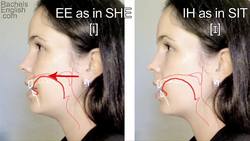 How to Pronounce EE vs. IH, leave vs. live -- American English Instructional Video