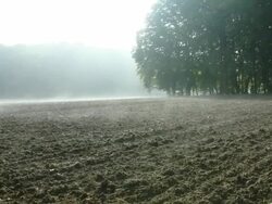 HD DOLLY: Foggy Plowed Field Along The Forest Stock Footage