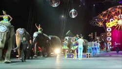 Raw: Final Ringling Bros. Elephants Performance Instructional Video