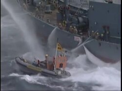CLEAN: Future of whaling in the balance at global meet News Clip