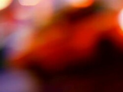 Out of focus #03 Stock Footage