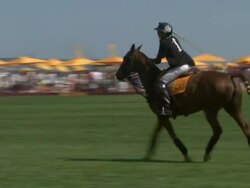 ATMOSPHERE: polo players at The Sixth-Annual Veuve Clicquot Polo Classic In Support Of Liberty State Park Stock Footage