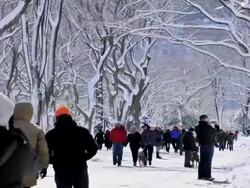 February 2013 winter storm, Central Park Stock Footage