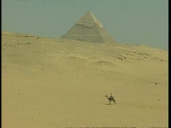 WA Camel being ridden through desert, pyramid on horizon, Egypt Stock Footage
