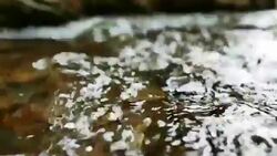 Stream of flowing River Stock Footage