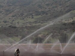 Sprinklers in action in agricultural field Stock Footage