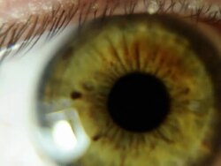 Human eye Stock Footage