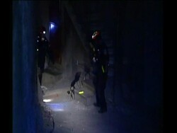 Haiti earthquake rescue efforts Stock Footage