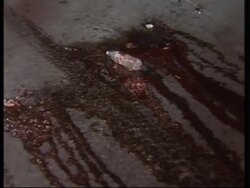 Three Israeli soldiers killed in Palestinian attack in West Bank News Clip