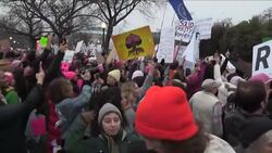 DC Security: More Than Expected at Women's March News Clip