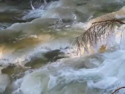 Winter River with Icy Branch (Loopable) (4:2:2) Stock Footage