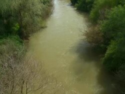 MS TU Shot of Jordan River in Upper Galilee  / Galilee, Israel Stock Footage