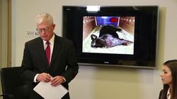 Giant Rabbit Death a Mystery After Flying United News Clip