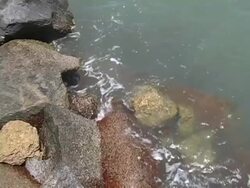 Water Splashing on Rocks Stock Footage