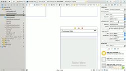 Mastering Swift 2 Programming (Video 30) Instructional Video