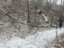 Runner Stock Footage