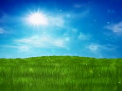 Green field over blue clear sky Stock Footage