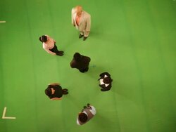 Business people forming alphabet B Stock Footage