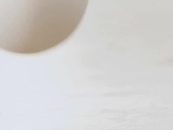 CU SLO MO Egg falls onto surface breaking / Los Angeles, California, United States Stock Footage