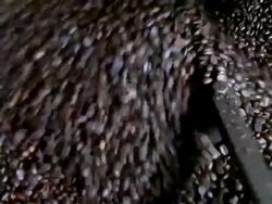 Coffee Roasting Rotation Stock Footage