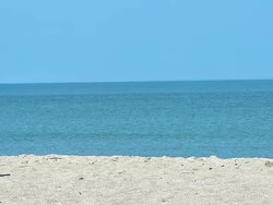 WS TS SLO MO View of German Shepherd running on beach / Caen, Normandy, France Stock Footage