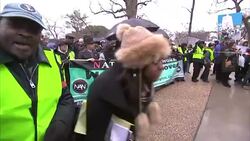 Rev Al Sharpton Leads Protest March in Washington News Clip