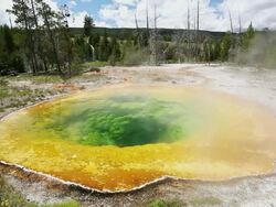 WS View of Morning glory pool yellowstone national park / Montana, United States Stock Footage