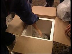 FRANCE: TESTING FOR BSE News Clip