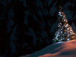 HD: Ornamented Christmas Tree Stock Footage