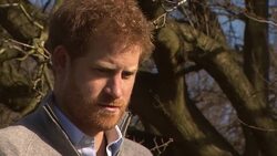 Prince Harry At Epping Forest Conservation Project News Clip