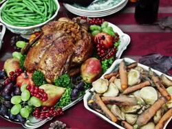 Thanksgiving Turkey Dinner Stock Footage