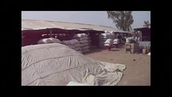 CLEAN : At least 10 dead in bomb attack on Nigeria market News Clip