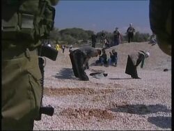 Anti-separation barrier activists plant olive trees News Clip