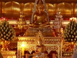 MS View of golden statue of Buddha in temple / Gaya, Bihar, India Stock Footage