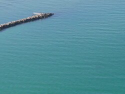 WS AERIAL ZO View of dolphins in sea / Adelaide, South Australia, Australia Stock Footage